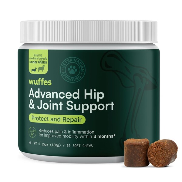 10 Best Hip and Joint Supplement for Dogs